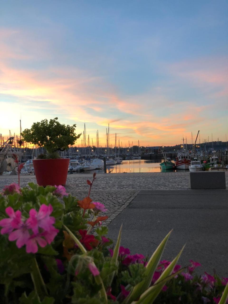 Hotel Restaurant Le Terre Neuvas Paimpol Esterno foto